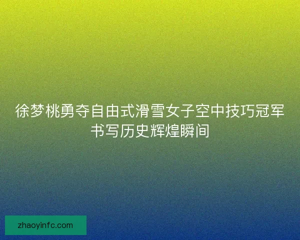 徐梦桃勇夺自由式滑雪女子空中技巧冠军书写历史辉煌瞬间