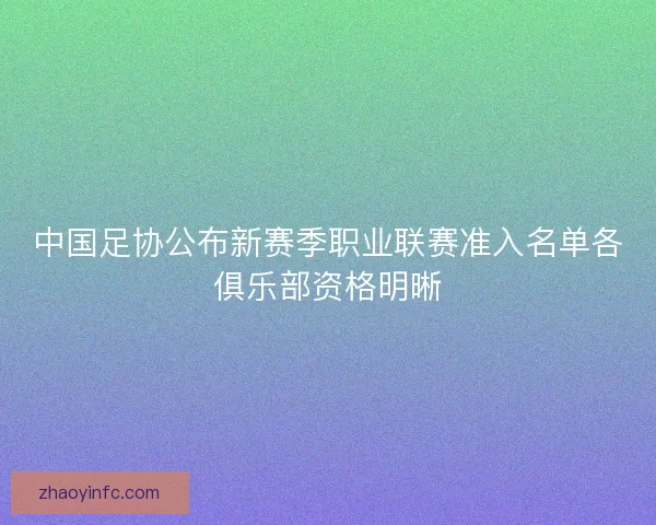 中国足协公布新赛季职业联赛准入名单各俱乐部资格明晰 中国足协公布新赛季职业联赛准入名单各俱乐部资格明晰